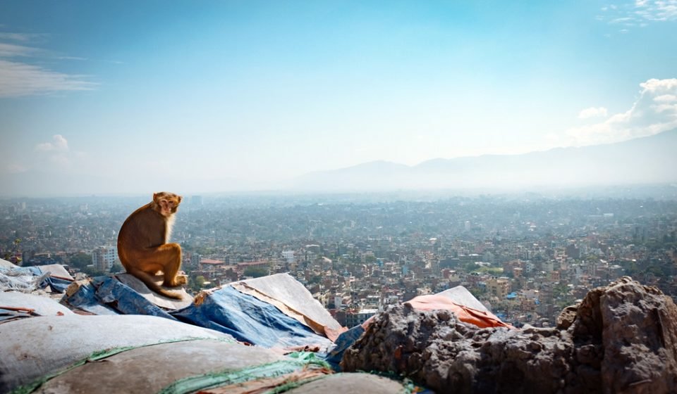 view from Swoyambhunath stupa in Kathmandu