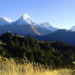 Ghorepani To Poon Hill Hike