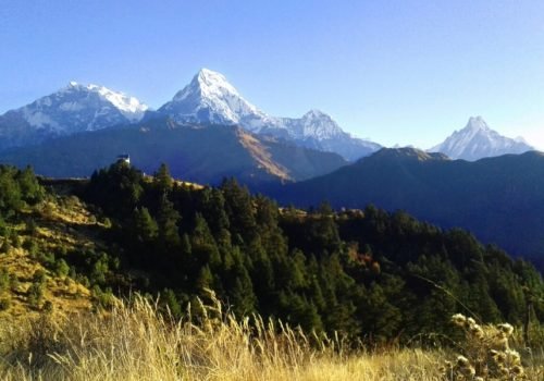 Ghorepani To Poon Hill Hike