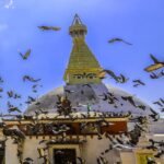 Boudhanath Stupa visit-luxury nepal tour package