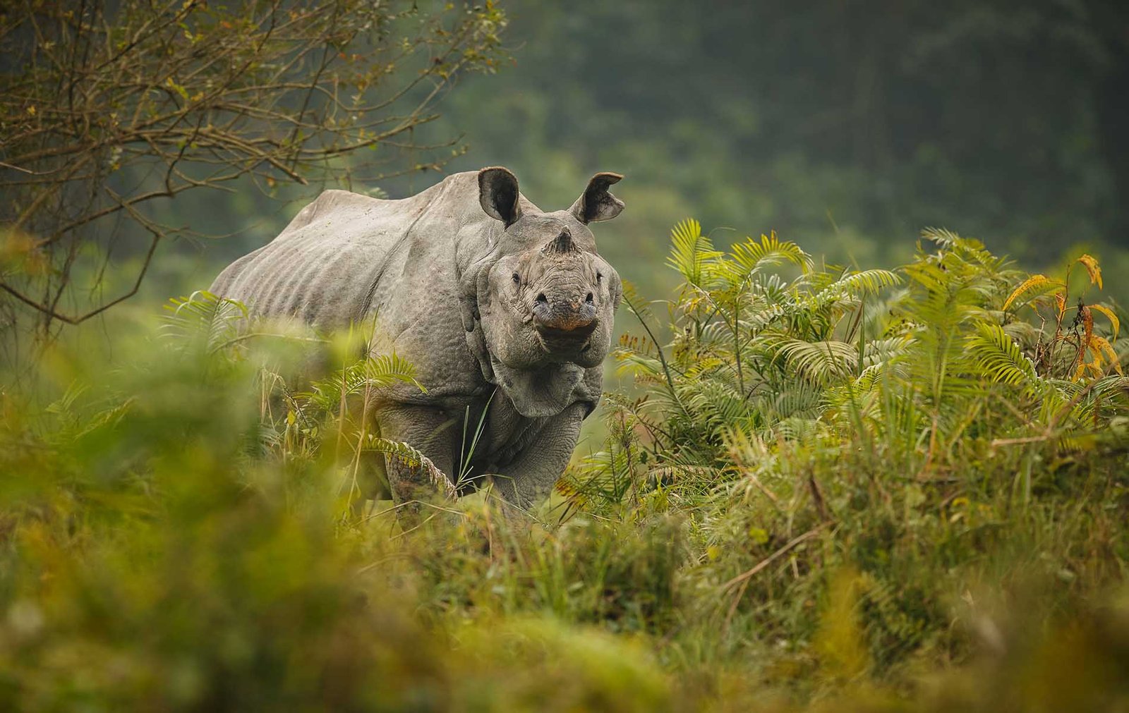 golden triangle nepal tour package